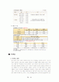 사업계획서 11페이지