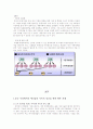 삼성 애니콜의 중국 진출 전략 12페이지