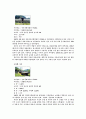 자신의 고향 연구 전북 임실군 삼계면 10페이지