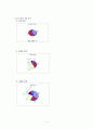 시식코너운영에 관한 소비자행동 연구 5페이지