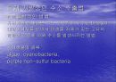 수소 에너지 개발 현황 7페이지