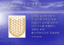 수소 에너지 개발 현황 10페이지