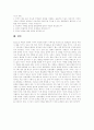 미약달러 정책이 우리나라에 끼친 영향과 대응 8페이지