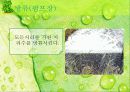 하수처리 18페이지