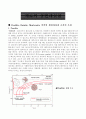 Pearlite, Bainite, Martensite 각각의 생성과정과 조직의 특성 과 Ausforming과 Marquenching에 대해 1페이지