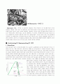 Pearlite, Bainite, Martensite 각각의 생성과정과 조직의 특성 과 Ausforming과 Marquenching에 대해 4페이지