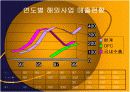 초코파이의 국제마케팅 성공사례관련 프리젠테이션 19페이지