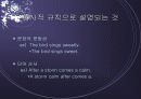 통사론이란 무엇인가 5페이지