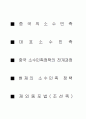 중국의 소수민족 1페이지