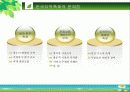 영국에딘버러축제 사례를 통한 한국지역축제의 문제점 해결 3페이지