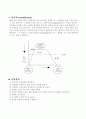 충  격  실  험 4페이지
