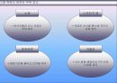 OB 맥주 신제품 큐팩 분석 9페이지