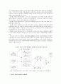 국가이론의 한국적 적실성 3페이지