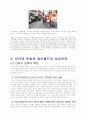싸이월드 분석자료 - 미니홈피에 따른 소비자 행동 분석- 10페이지