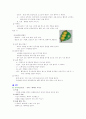 특별활동 11페이지