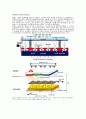 5가지 디스플레이의 원리 4페이지