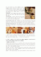 설화수 마케팅 성공사례 13페이지