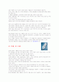 삼파장전구의 효율성 3페이지