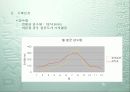 사업계획서-신양 마리나 리조트 분석 10페이지