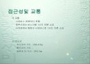사업계획서-신양 마리나 리조트 분석 12페이지