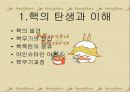 북한 핵개발 북한 핵의 교훈과 우리의 대응 3페이지