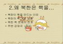 북한 핵개발 북한 핵의 교훈과 우리의 대응 11페이지