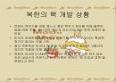 북한 핵개발 북한 핵의 교훈과 우리의 대응 13페이지