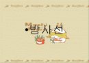 북한 핵개발 북한 핵의 교훈과 우리의 대응 24페이지
