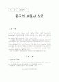 중국의 부동산 산업 1페이지