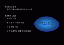 항공운송산업-CRS(COMPUTER RESERVATION SYSTEM)에 대한 이해와 분석 및 정리 2페이지