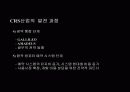 항공운송산업-CRS(COMPUTER RESERVATION SYSTEM)에 대한 이해와 분석 및 정리 4페이지