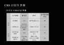 항공운송산업-CRS(COMPUTER RESERVATION SYSTEM)에 대한 이해와 분석 및 정리 5페이지