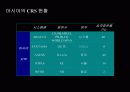 항공운송산업-CRS(COMPUTER RESERVATION SYSTEM)에 대한 이해와 분석 및 정리 8페이지