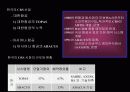 항공운송산업-CRS(COMPUTER RESERVATION SYSTEM)에 대한 이해와 분석 및 정리 9페이지