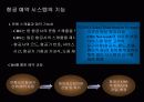 항공운송산업-CRS(COMPUTER RESERVATION SYSTEM)에 대한 이해와 분석 및 정리 12페이지