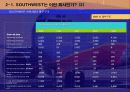 사우스웨스트 항공사 기업분석과 성공전략의 탐색과 이해 8페이지