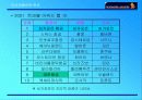 대한항공과 싱가폴항공사 비교 분석-기업가치와 경쟁력 분석 14페이지