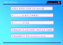 대한항공과 싱가폴항공사 비교 분석-기업가치와 경쟁력 분석 19페이지