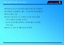 대한항공과 싱가폴항공사 비교 분석-기업가치와 경쟁력 분석 20페이지