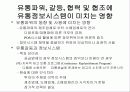 유통 정보 시스템 10페이지