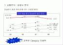 도브의 마케팅 분석 8페이지