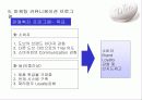 도브의 마케팅 분석 23페이지
