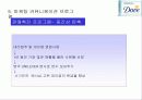 도브의 마케팅 분석 24페이지