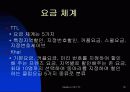 TTL 의 브랜드 마케팅 16페이지