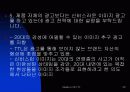 TTL 의 브랜드 마케팅 23페이지