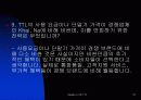 TTL 의 브랜드 마케팅 27페이지
