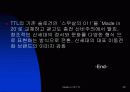 TTL 의 브랜드 마케팅 36페이지