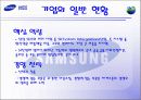 삼성 SDS의 해외 진출 사례(중국) 4페이지