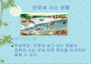 연못에 사는 동물(생물) 2페이지