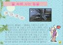 연못에 사는 동물(생물) 12페이지